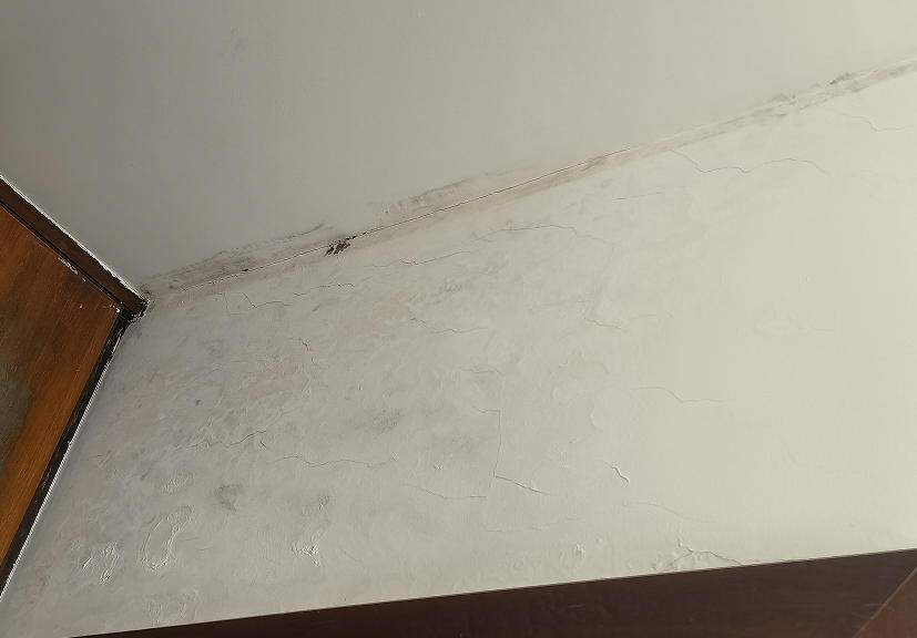 受江门市新会区人民法院委托，对房屋渗水修复费用进行评估（后附判决书）